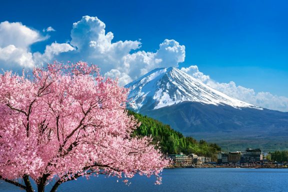Montagne avec sommet enneigé et arbres en fleurs au bord d'un lac.